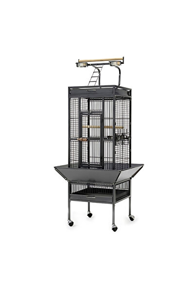Dayang قفص طيور (A10) - 67 × 67 × 156 سم - أسود