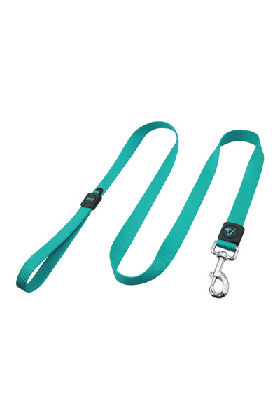 Doco طوق نايلون مميز - 4 أقدام - 3.8 × 120 سم (كبير جدًا) - فيروزي