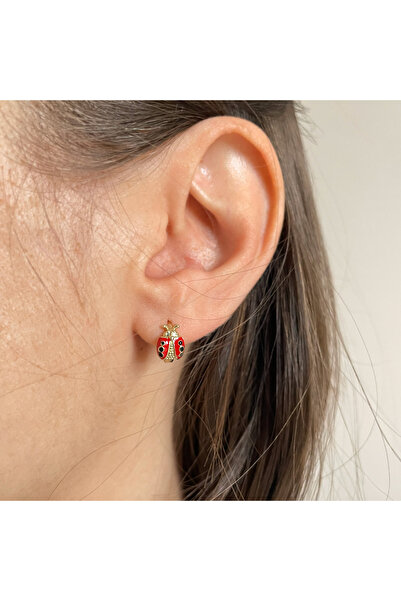 nerora Tarnish-Free Steel Red Ladybug Earrings (Tarnish Guarantee)