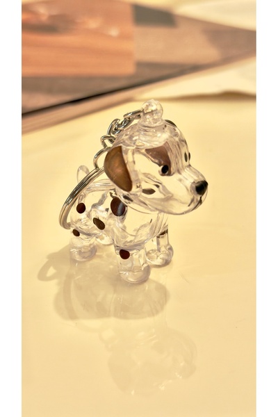 MAHLA Dog Hair Filling Keychain - Dog Hair Storage Keychain - Transparent Key...