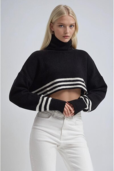 Lijuri Striped and turtleneck knit sweater 1416