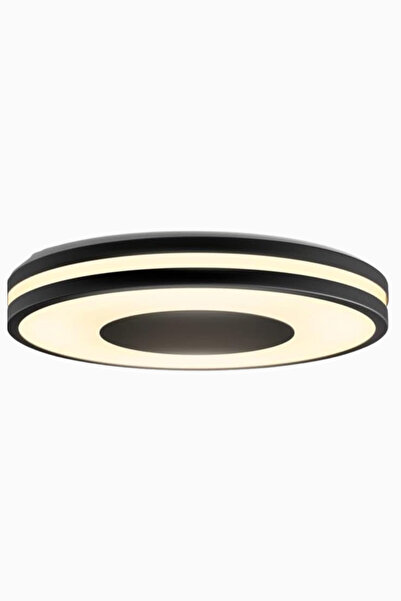 Philips Hue Beyaz Ambiyans Tavan Lambası 2.500 lm