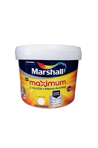 Marshall MAXİMUM SİLİKON İPEK MAT BW BAZ 2.5 LİTRE - KUM BEJİ