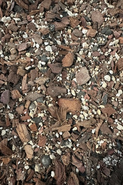Minik Orman Botanik Tropik Güç: Güçlü ve Yetişkin Aroid Bitkiler Için Substrat 5L (Monstera Epipremnum Strelitzia)