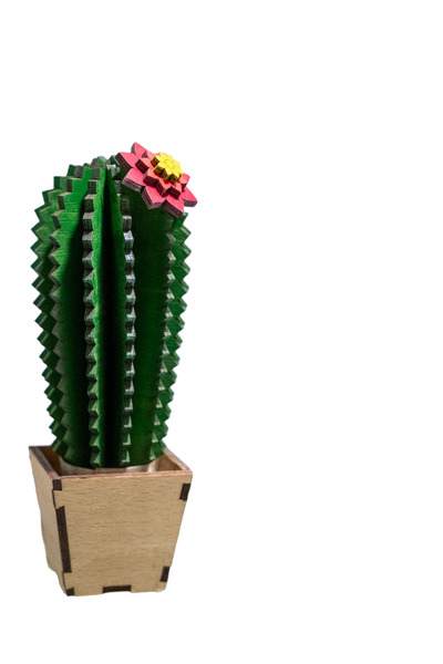 Amco 3D Wooden Cactus – Geometric Design, Modern Decor, 13 cm