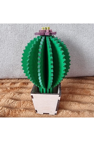 Amco 3D Wooden Cactus – Modern Design, Decor, 11 cm