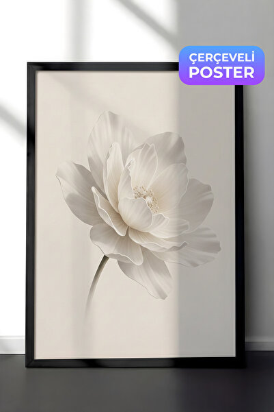 Zestia Siyah Çerçeveli Duvar Tablosu Beyaz Lotus Sessizliği Nötr Minimal Çiçe...