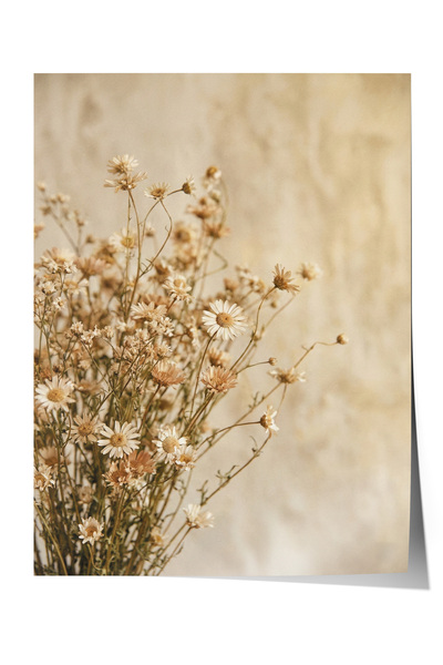 Zestia Poster Nostalgia fierbinte a margaretelelor uscate, decor foto în tonu...