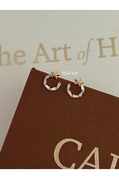 MioArt Women's Steel Star Luxury Earrings