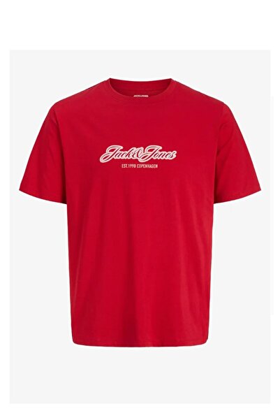 Jack & Jones Jorcatskills Kids T-Shirt