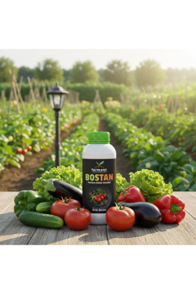 Ferment Bostan Üçlü 500 ml (3 Adet) Bahçe Sebzeleri ve Hobi Bahçeciliği İçin ...
