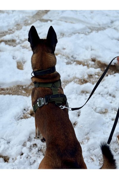 VSLT HANDMADE Handmade-Tactical Protection-Hunting-K9 Chest Harness. Write Us the Dog's Measurements as Answer to the Question