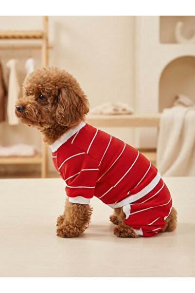 bellorsi Lüks Pijama Çizgili Triko Tulum Küçük Irk Kedi Köpek Kıyafeti Esnek ...