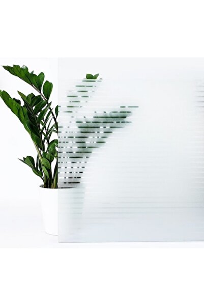 DAVIDAMI CONCEPT Self-Adhesive Film for Windows with Solar Protection, Matte ...