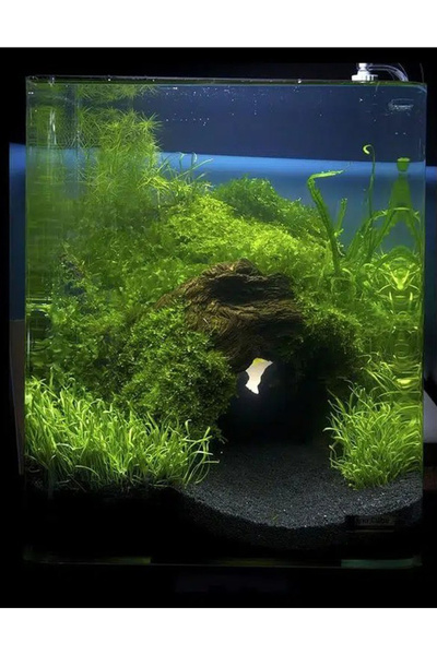 Lin Dekor 10 kg 1-2mm Hagen Siyah Bitki Kumu Akvaryum Kumu