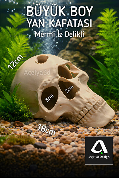 açelya3d Akvaryum İskelet Kafa Dekor Oyuk Mağara Balık Saklanma Dekoru Büyük ...