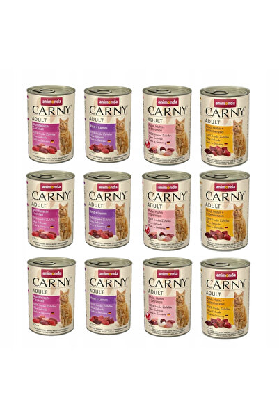 Other ANIMONDA Carny Adult mix smaków dla kota 12x400g