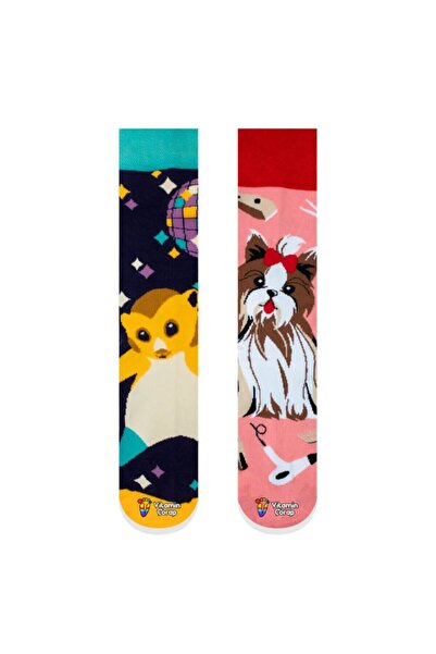 Limmon Store Set of 2 Hamster & Dog Colored Socks