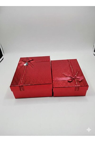 abnturk 2 Adet Büyük Boy (25x34 cm) ve Orta Boy (21x29 cm) - Derinlik 12 cm D...