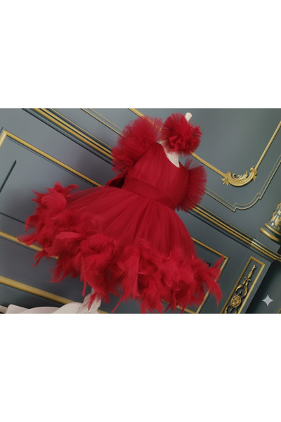Star Kids Girl's Red Feathered Dress, Girl's Graduation Dress, Buckle Included