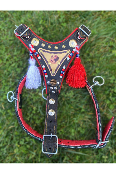 FeyzaDesign Çift Katlı Ultra Dayanıklı Gladyatör Göğüsten Kangal Tasması, Aya...