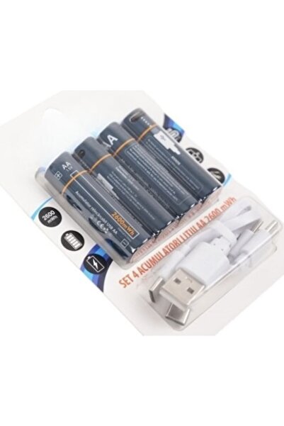 OEM AA Rechargeable Battery Set