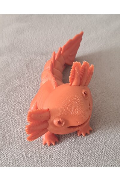 Sadık Pazar AXOLOTL