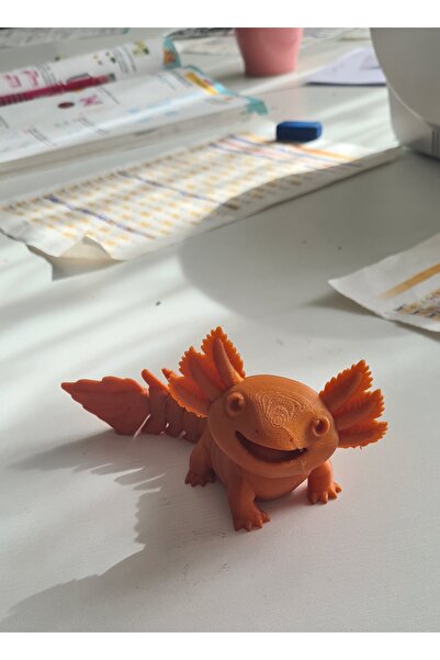 Sadık Pazar AXOLOTL
