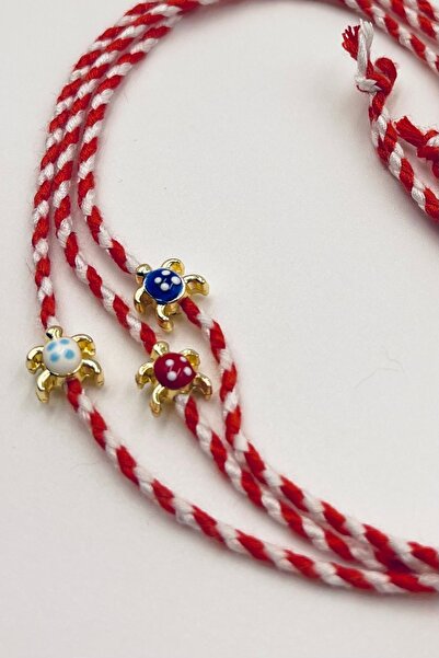 Concept HuBuTU Gift 3-Piece Card and Gelatin Turtle Figurine Luxury Martenica...