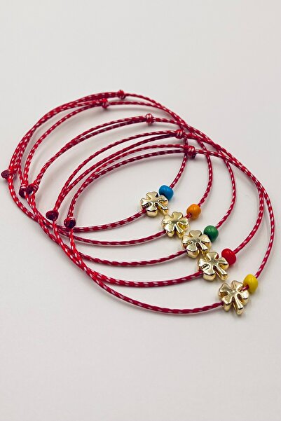 Concept HuBuTU 5 Pieces of Clover Figured Card Gelatinized Marteniçka Wishing...