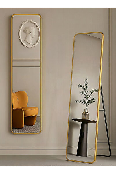 Taimi Elegant Design Mirror 120x30cm-full Length Mirror With Gold Metal Frame...