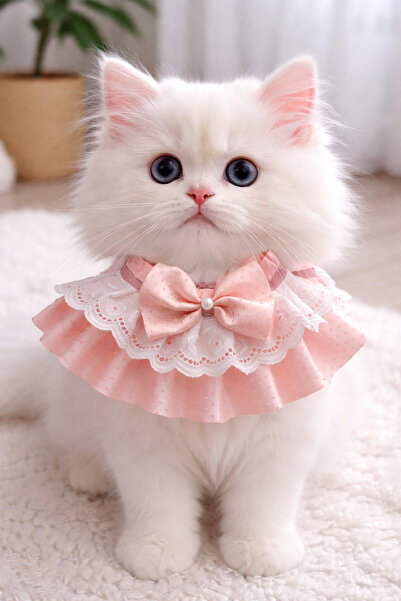 Winnie The Pet Kedi Yakalık Tasarım