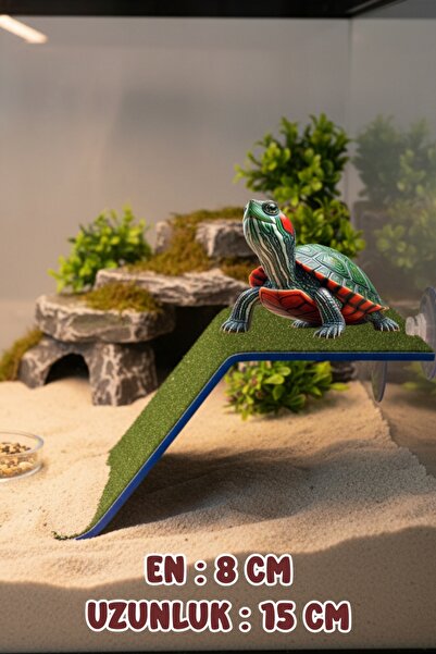 Meeori Kaplumbaga Rampası Zemin Tipi Kaplumbağa Platformu Kaplumbaga Kayası