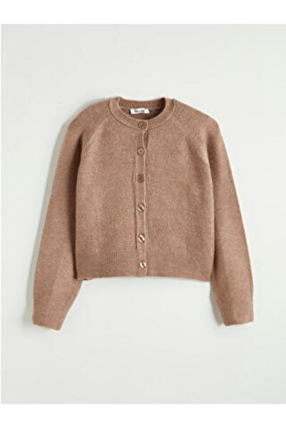 LC Waikiki Brown Crew Neck Women's Knitwear Cardigan