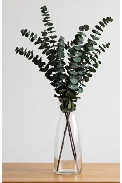 Yumak Dekor Grup Okaliptüs 50 gr şoklanmış