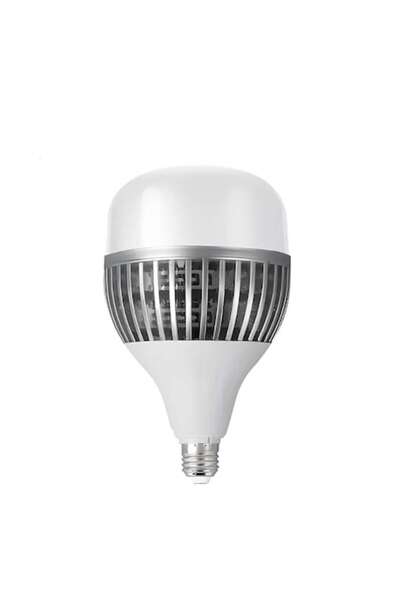 alimar Bec LED 100W
