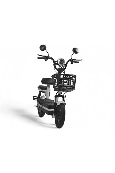 ALBADER Electric Scooter V25, Max Speed 30-40 KM/H, 48V With 4 Batteries, Ele...