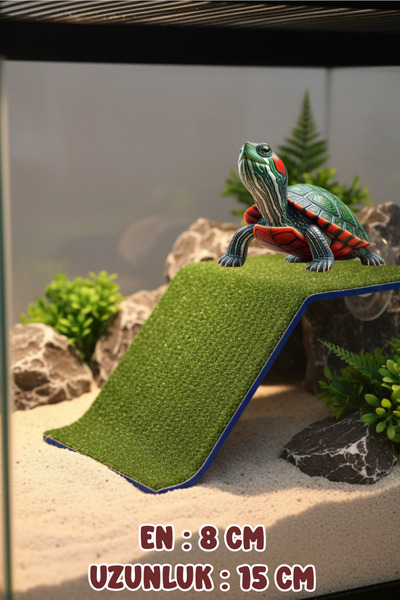 T×DEM Kaplumbaga Rampası Zemin Tipi Kaplumbağa Platformu Kaplumbaga Kayası