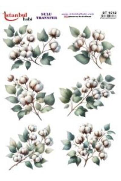 İstanbul Hobi Water Transfer Paper 25X35Cm St-1512