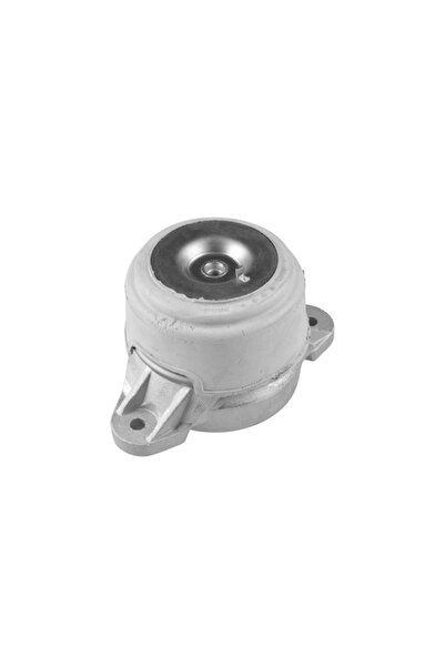 TEDGUM Suport Motor Fata Dreapta Mercedes-Benz Cls/E-Class