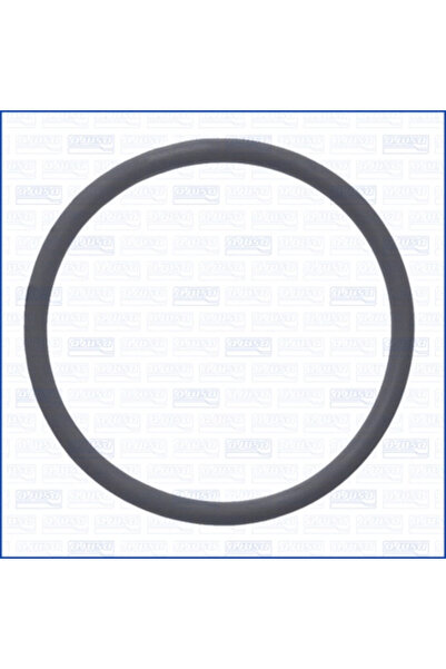 Ajusa Garnitura Pompa Combustibil Ford Usa F-250 Super Duty/F-350 Super Duty ...