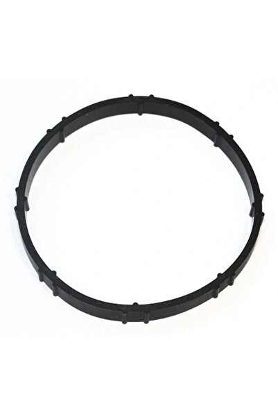 ELRING Garnitura Carcasa Galerie Admisie Carcasa Clapeta Acceleratie Chevrole...