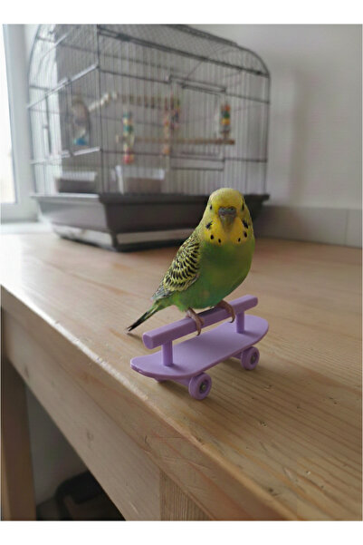 MD×JOA Parakeet Perch with Skateboard Bird Perch (Purple and Shades)