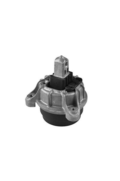 TEDGUM Suport Motor Dreapta Bmw 5