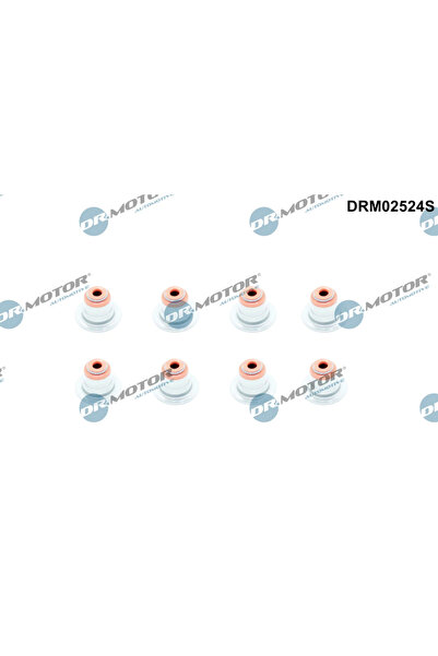 DR.MOTOR AUTOMOTIVE Set Garnituri Ax Supape Alpina B5/B6/B7 Bmw 1/3/5