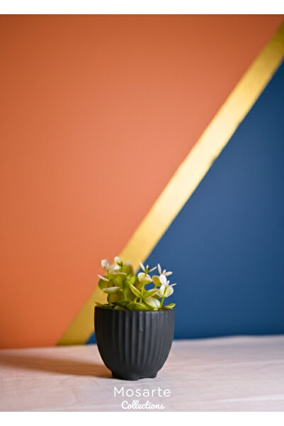 Mosarte مزهرية صغيرة مستديرة من الجبس بتصميم مموج / قطعة ديكور