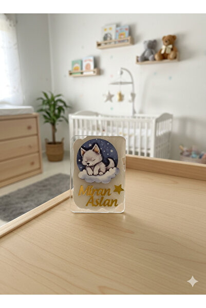 NaturessCo مغناطيس أطفال مستطيل الشكل من البليكسي مع شكل ذئب (10 قطع)