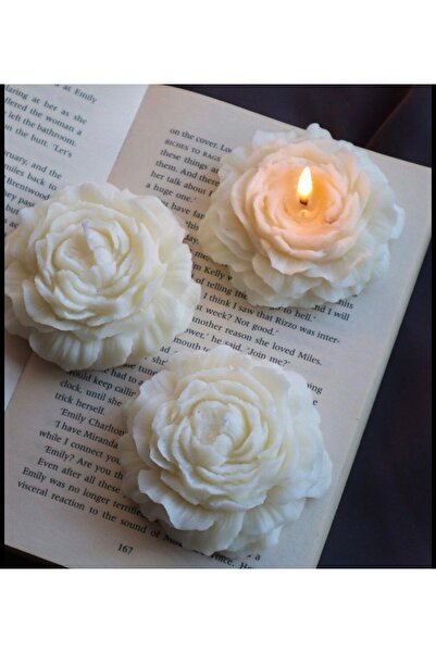 RAMTEC 3 lü set ŞAKAYIK Kokulu mum vanilya çilek ve lavanta kokulu