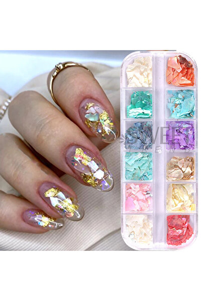 choice2 BH Random Color 12 Grids Abalone Seashell Flakes Nail Sequin Holograp...