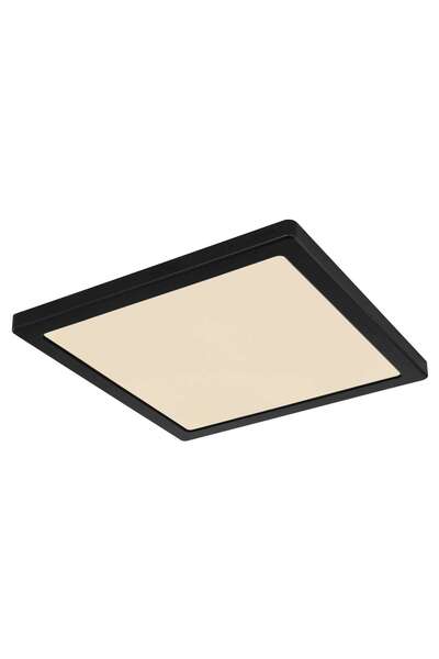 GLOBO Lampă de tavan LED Lasse 12380-24B, 24 W, 2000 lm, lumină caldă / neutr...